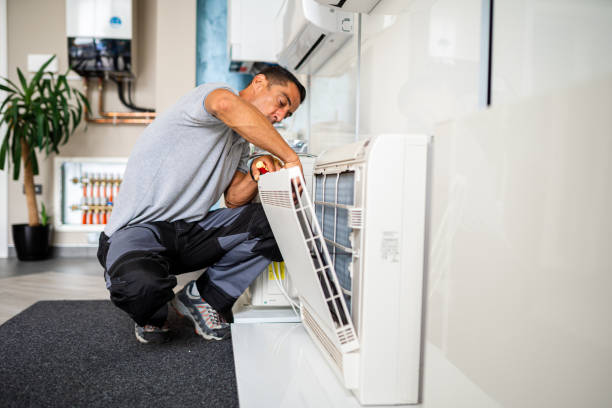 Air Duct Mold Removal in FL