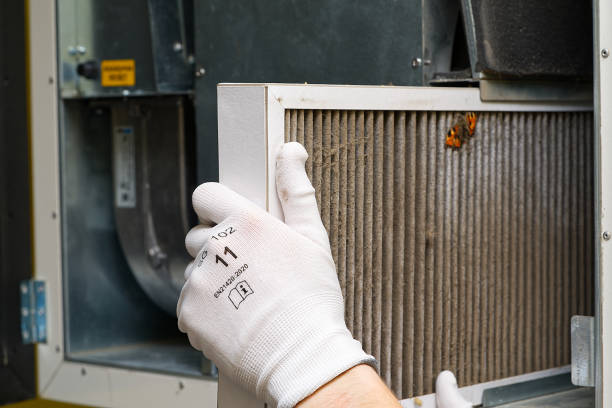Best Local Air Duct Cleaning Services  in Ensley, FL